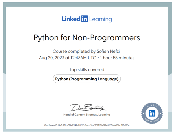 Python for Non-Programmers